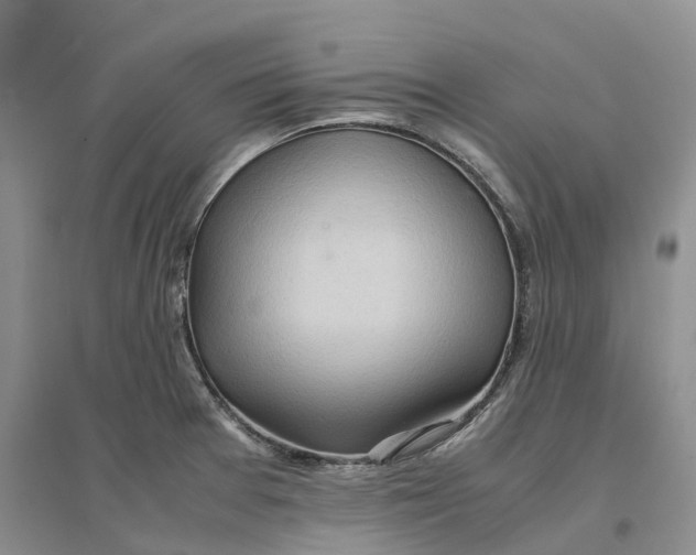 X0000096701377200802261554