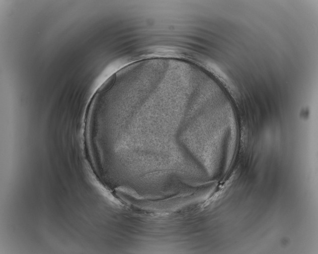 X0000096701378200802261554