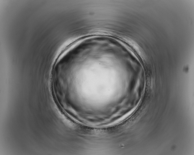 X0000096701379200802261554