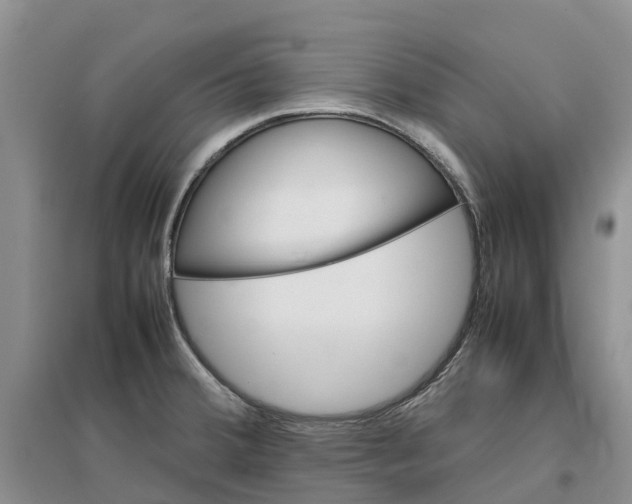 X0000096701380200802261554