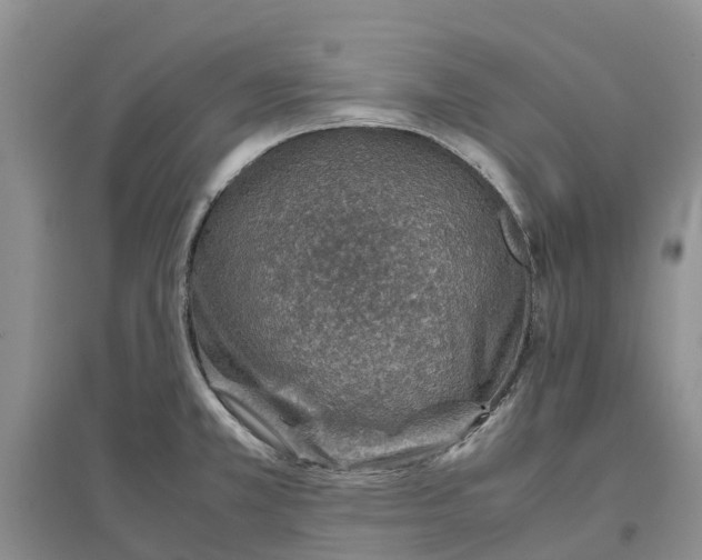 X0000096701381200802261554
