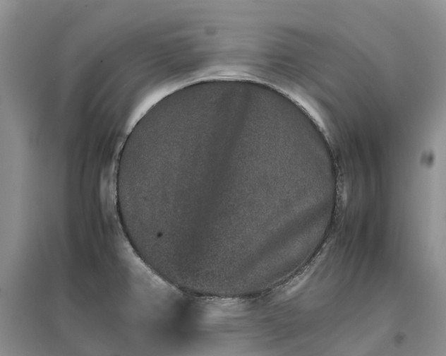 X0000096701382200802261554