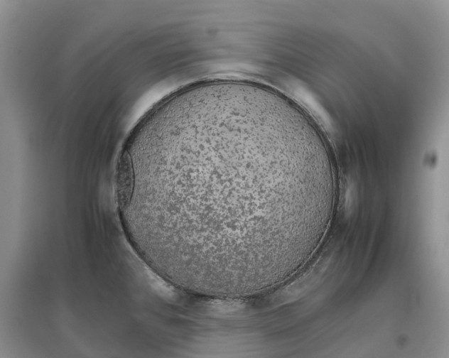 X0000096701384200802261554