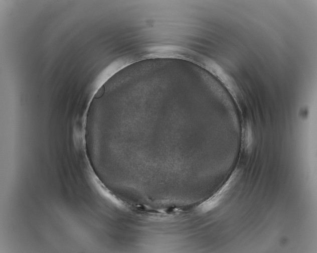 X0000096701386200802261554
