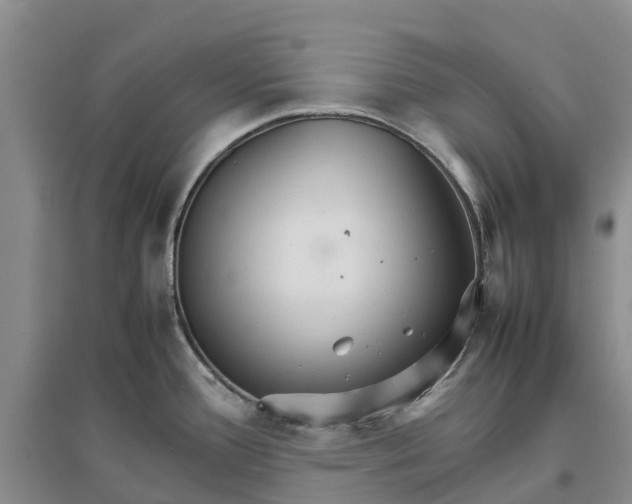 X0000096701388200802261554