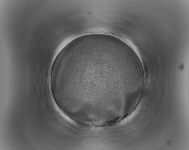X0000096701389200802261554
