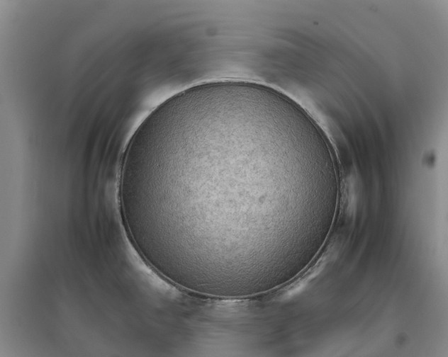 X0000096701390200802261554