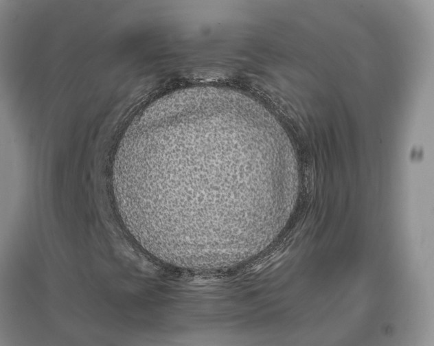 X0000096701393200802261553
