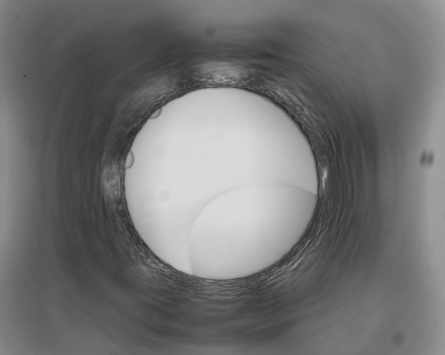 X0000096701395200802261553