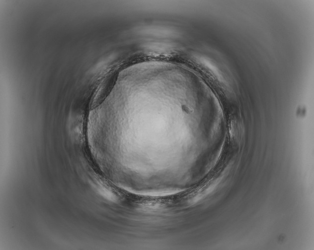 X0000096701396200802261553