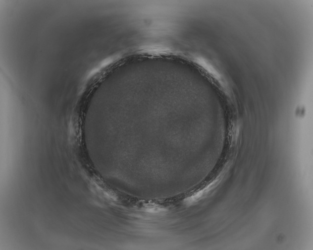 X0000096701398200802261553