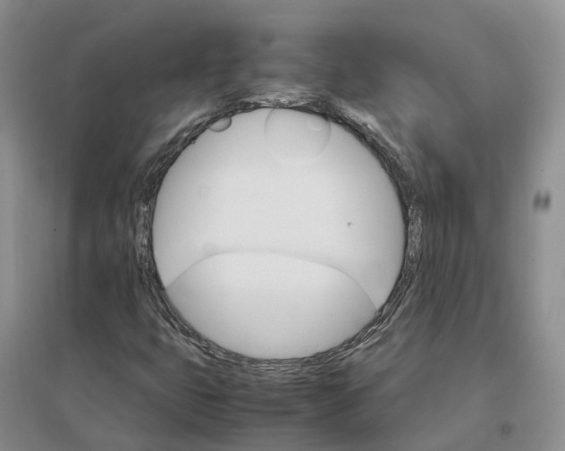 X0000096701399200802261553