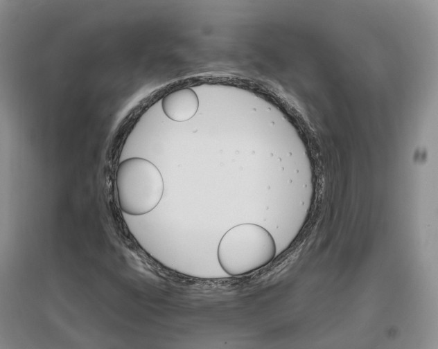 X0000096701400200802261553
