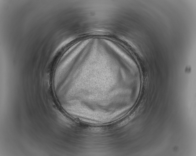 X0000096701402200802261553