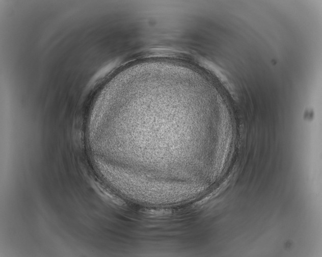 X0000096701403200802261553