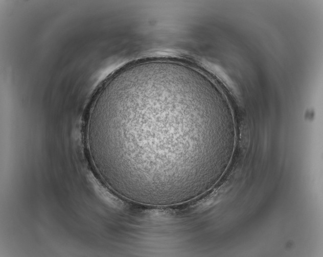 X0000096701404200802261553