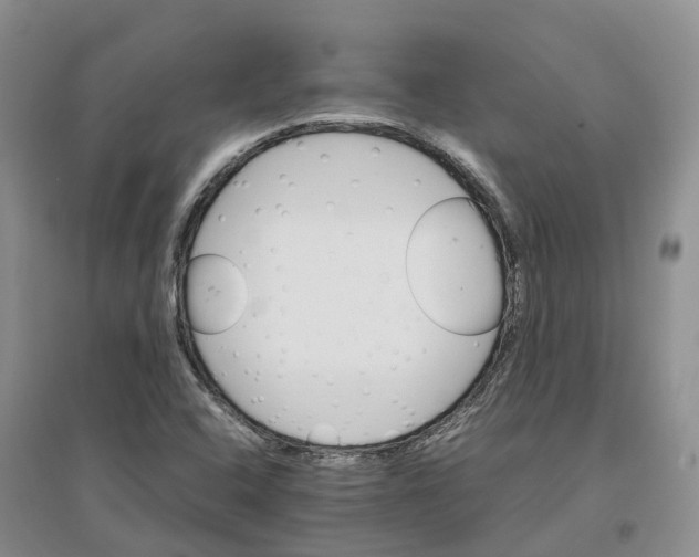 X0000096701408200802261553