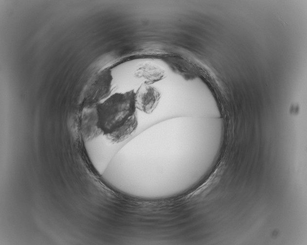 X0000096701409200802261553