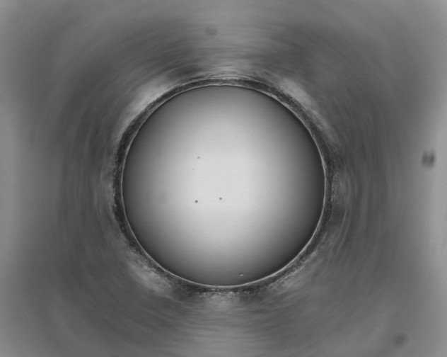 X0000096701410200802261553