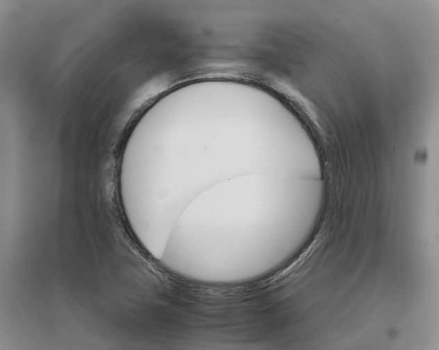 X0000096701411200802261553
