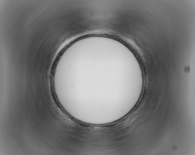 X0000096701412200802261553