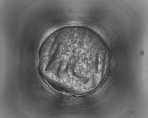 X0000096701413200802261553