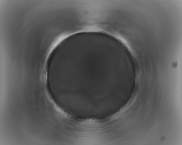 X0000096701414200802261553