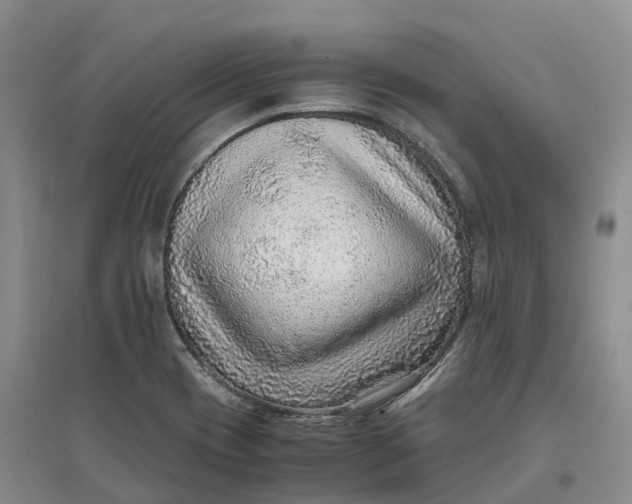 X0000096701417200802261554