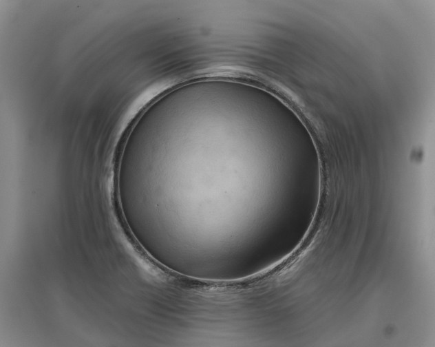 X0000096701418200802261554