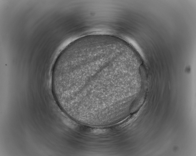 X0000096701419200802261554