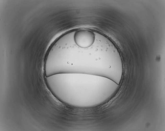 X0000096701420200802261554