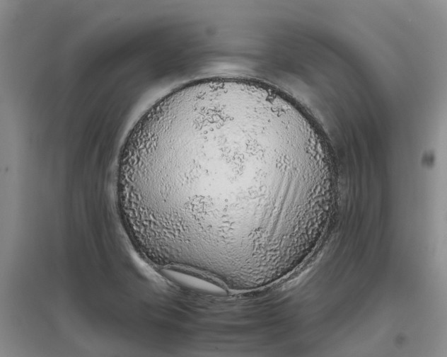 X0000096701421200802261554