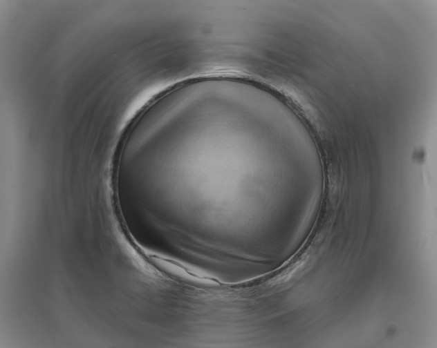 X0000096701422200802261554