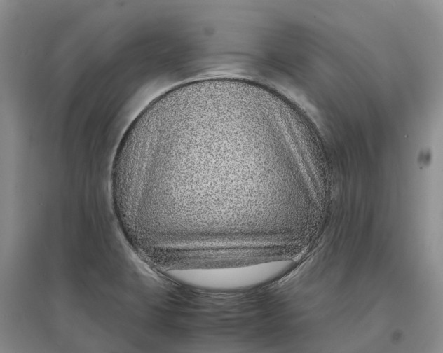 X0000096701423200802261554