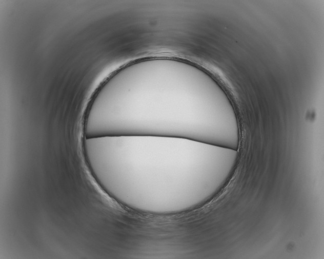 X0000096701424200802261554