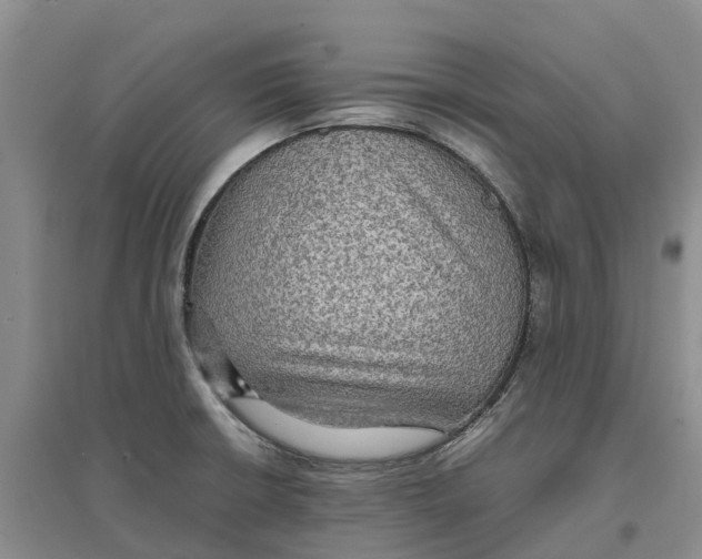 X0000096701426200802261554