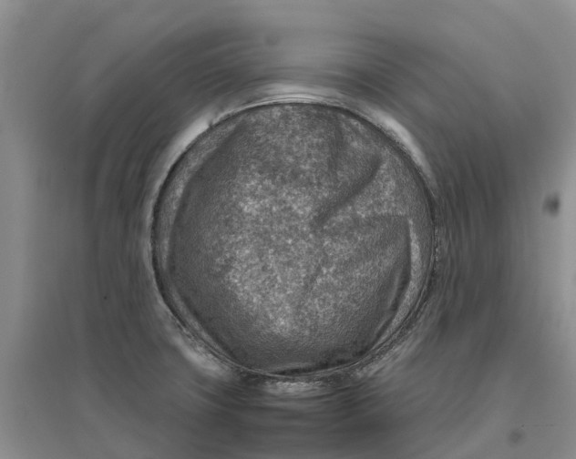 X0000096701427200802261554