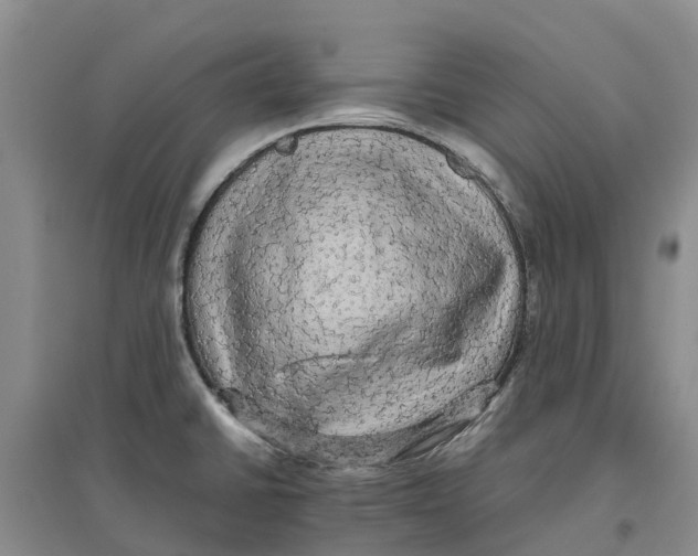 X0000096701430200802261554