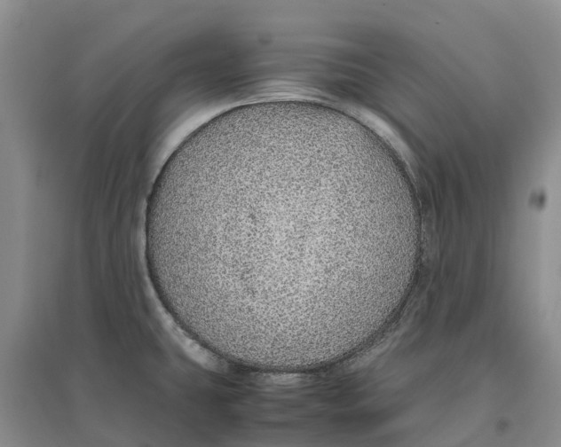 X0000096701431200802261554