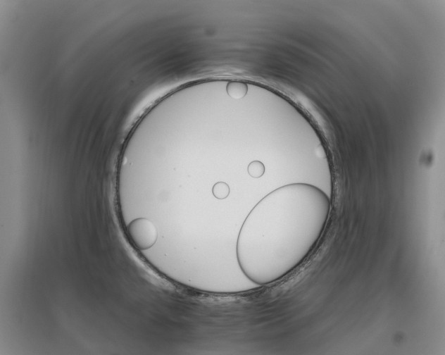 X0000096701432200802261554