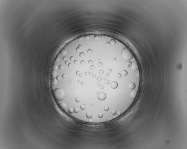 X0000096701433200802261554