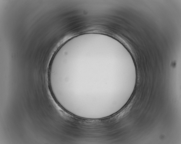 X0000096701434200802261554