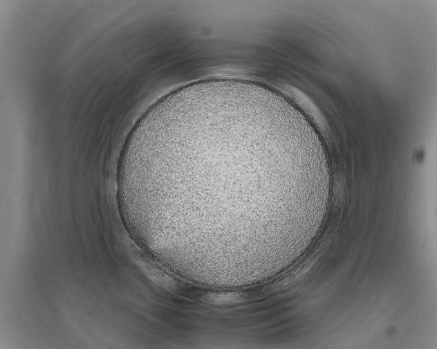 X0000096701435200802261554