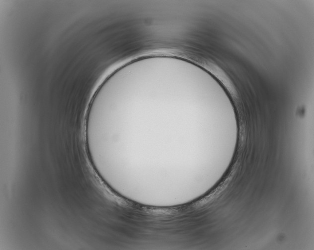 X0000096701436200802261554