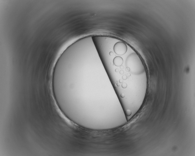 X0000096701437200802261554