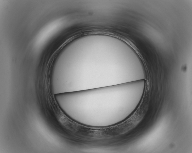 X0000096701438200802261554