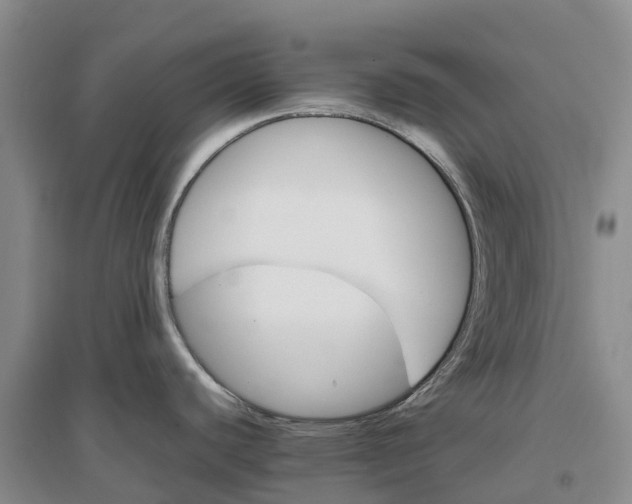 X0000096701440200802261554