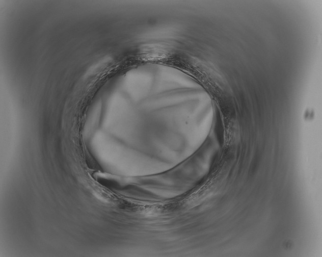 X0000096701441200802261553