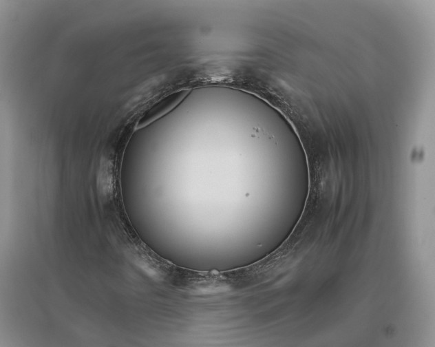 X0000096701442200802261553