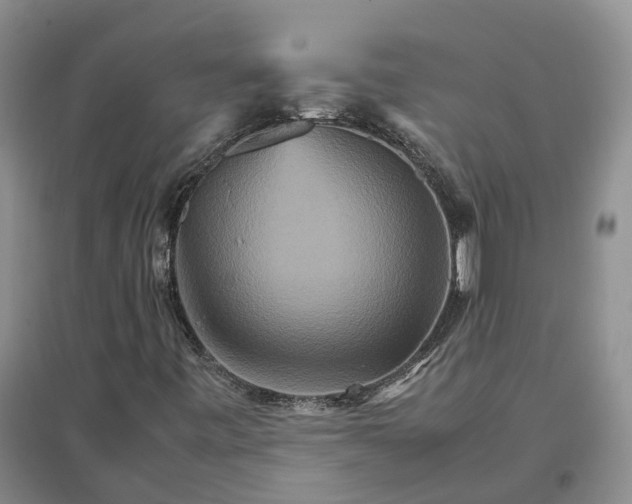 X0000096701443200802261553